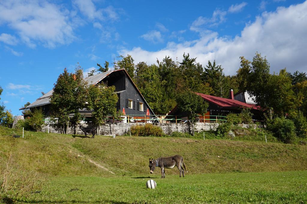 Guest House Beli Kamen Vojsko Екстериор снимка