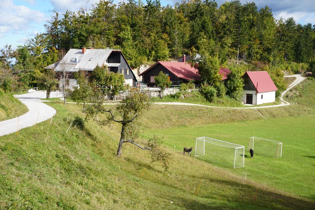 Guest House Beli Kamen Vojsko Екстериор снимка